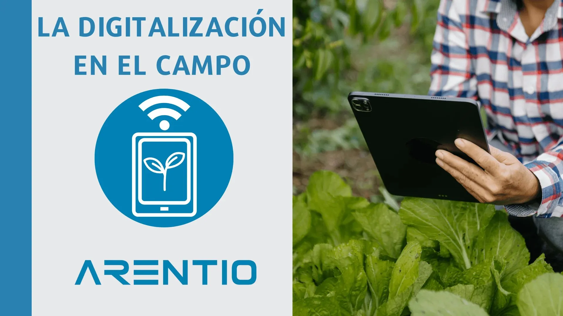 Digitalización en el campo